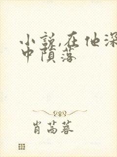 小说,在他深情中陨落封面