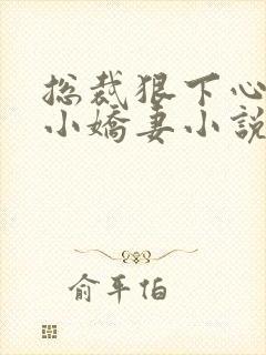 总裁狠下心来打小娇妻小说