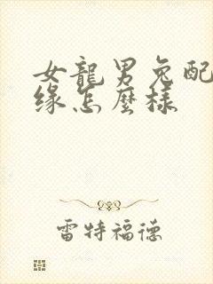 女龙男兔配的姻缘怎么样