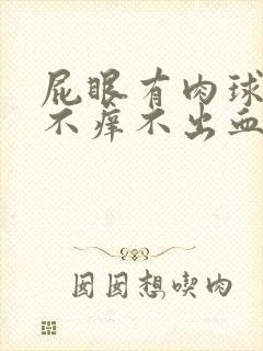 屁眼有肉球不痛不痒不出血封面