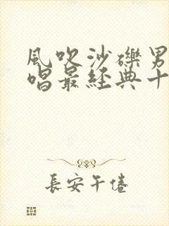 风吹沙砾男女对唱最经典十首歌