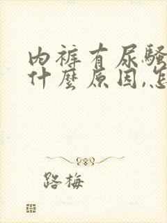 内裤有尿骚味是什么原因,怎样治疗