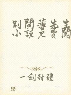 别闹薄先生全本小说免费阅读