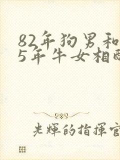 82年狗男和85年牛女相配婚姻如何