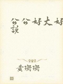 公公好大好爽小说