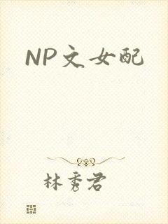 NP文女配