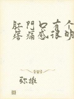 肛门口有个硬疙瘩痛感很明显封面