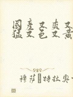 国产又爽又粗又猛又色又黄免费视