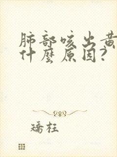 肺部咳出黄痰是什么原因?