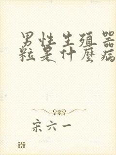 男性生殖器长硬粒是什么病