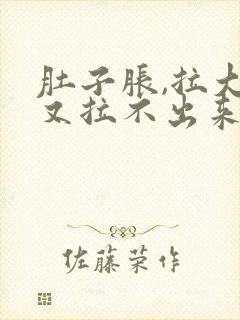 肚子胀,拉大便又拉不出来怎么办封面