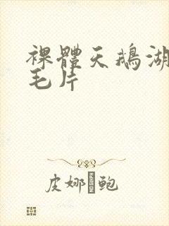 裸体天鹅湖av毛片封面