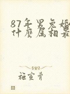 87年男兔婚配什么属相最佳封面