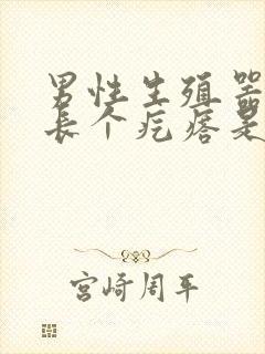 男性生殖器根部长个疙瘩是怎么回事