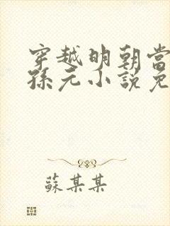 穿越明朝当老大孙元小说免费阅读