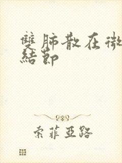 双肺散在微小硬结节