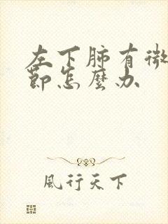 左下肺有微小结节怎么办封面