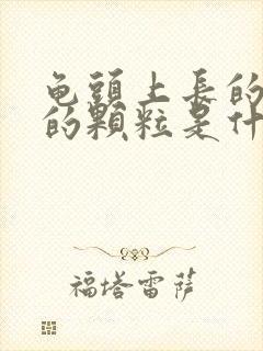 龟头上长的白色的颗粒是什么