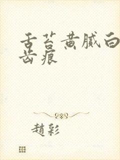 舌苔黄腻白厚有齿痕