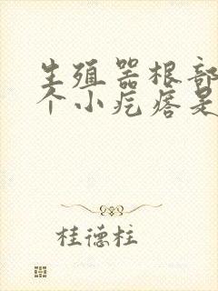 生殖器根部长了个小疙瘩是什么