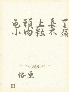 龟头上长了一颗小肉粒不痛不痒