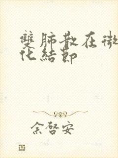 双肺散在微小钙化结节