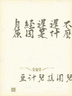 月经迟迟不走的原因是什么