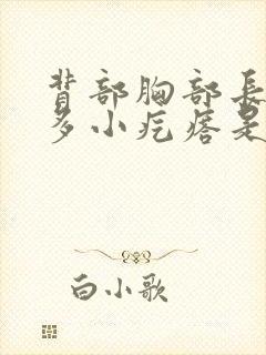 背部胸部长了很多小疙瘩是怎么回事封面