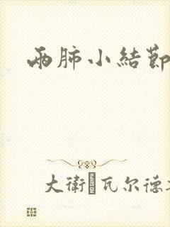 两肺小结节样影