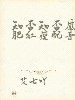 知否知否应是绿肥红瘦配音演员表