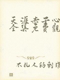 天涯赤子心在线全集免费观看第43集