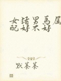 女猪男马属相婚配好不好