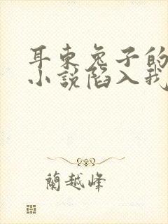 耳东兔子的所有小说陷入我们的热恋