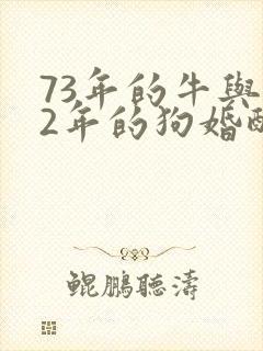 73年的牛与82年的狗婚配封面