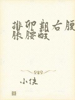 排卵期右腹部坠胀腰酸