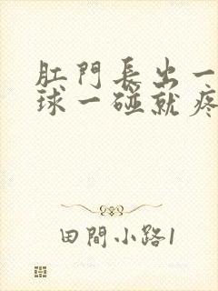 肛门长出一个肉球一碰就疼