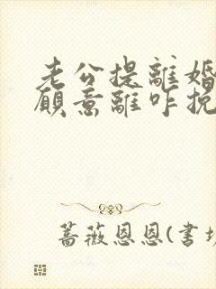 老公提离婚我不愿意离咋挽回封面