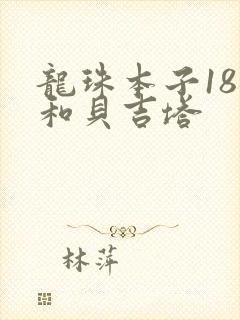 龙珠本子18号和贝吉塔封面