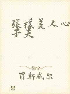 张檬美人心计卫子夫封面