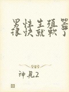 男性生殖器勃起很快就软了