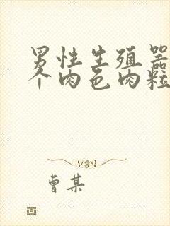 男性生殖器长出个肉色肉粒