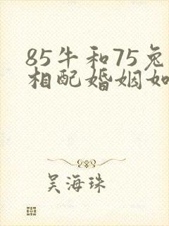 85牛和75兔相配婚姻如何封面