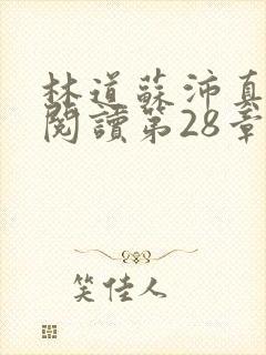 林道苏沛真全文阅读第28章