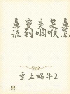 鼻窦炎是鼻涕倒流到咽喉怎么治