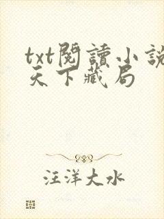 txt阅读小说天下藏局