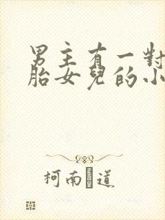 男主有一对双胞胎女儿的小说封面