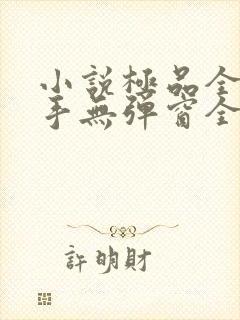 小说极品全能高手无弹窗全文免费阅读