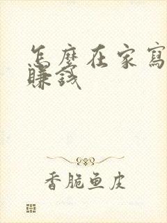 怎么在家写小说赚钱封面