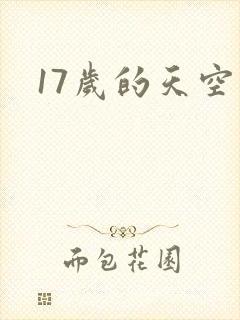 17岁的天空