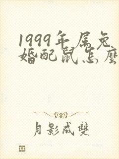 1999年属兔婚配鼠怎么样了